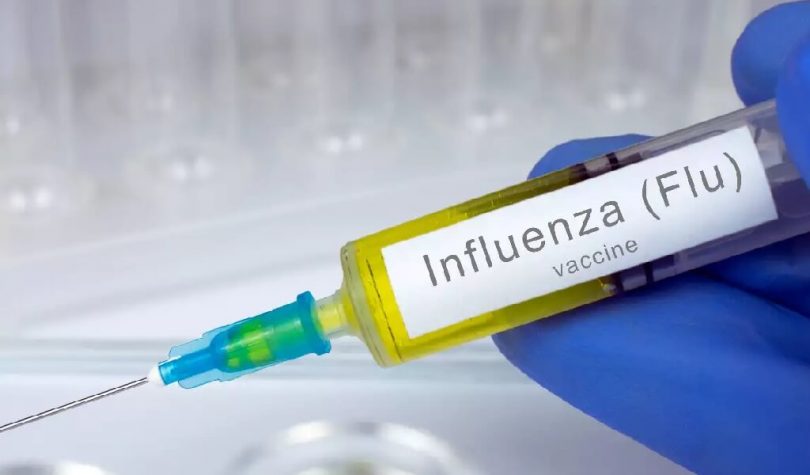 Influenza vaccine how does it work